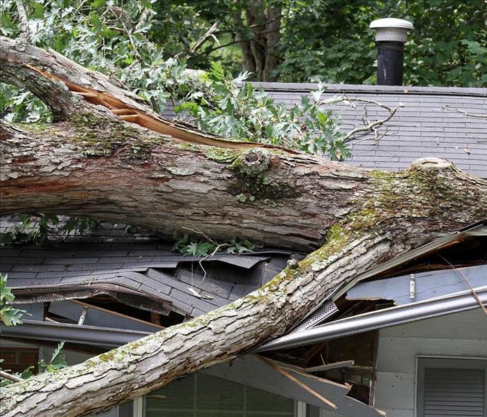 Fallen Tree Causes Damage to Home During Storm